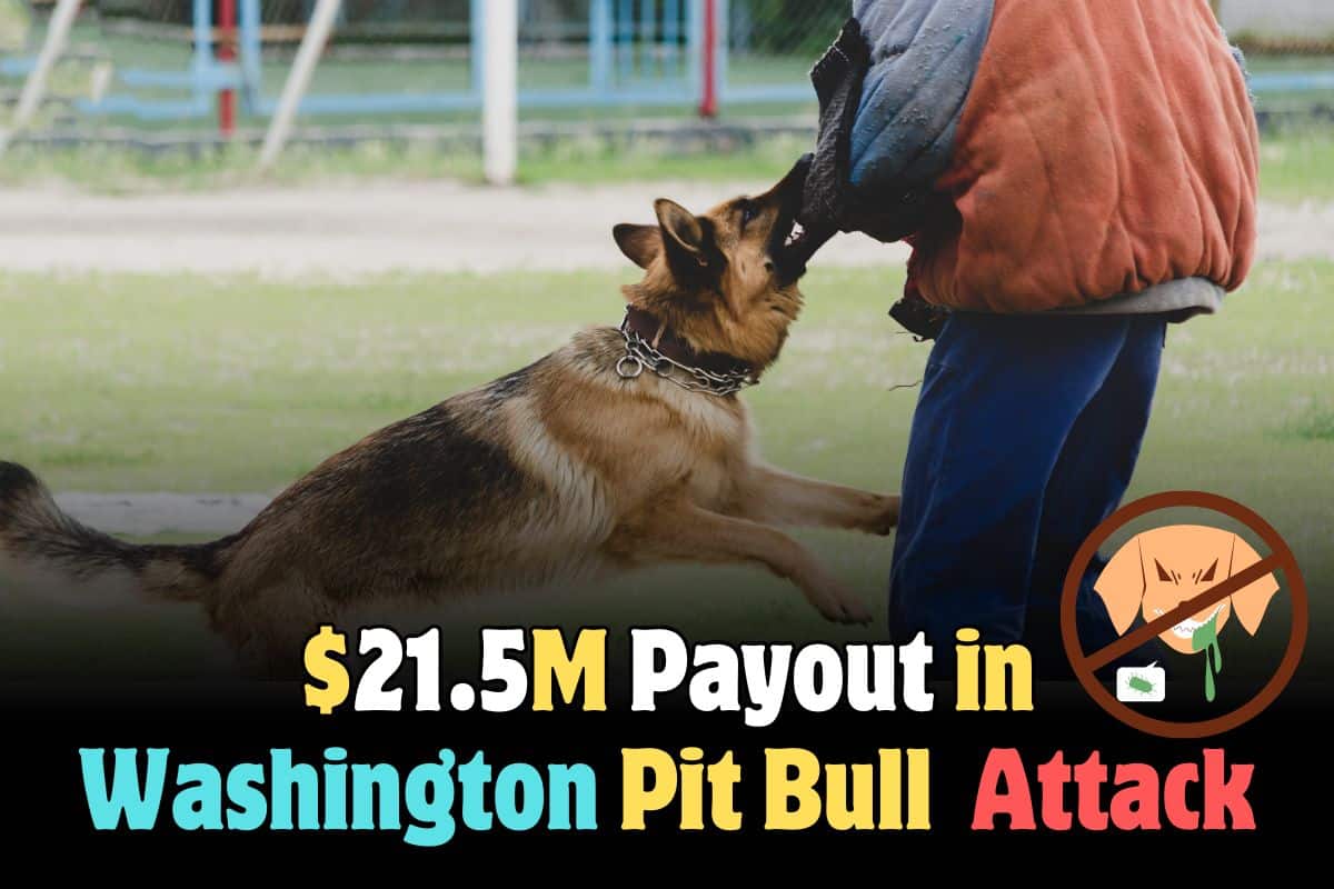 $21.5 Million Settlement After Pit Bull Attack on Jogger in Washington