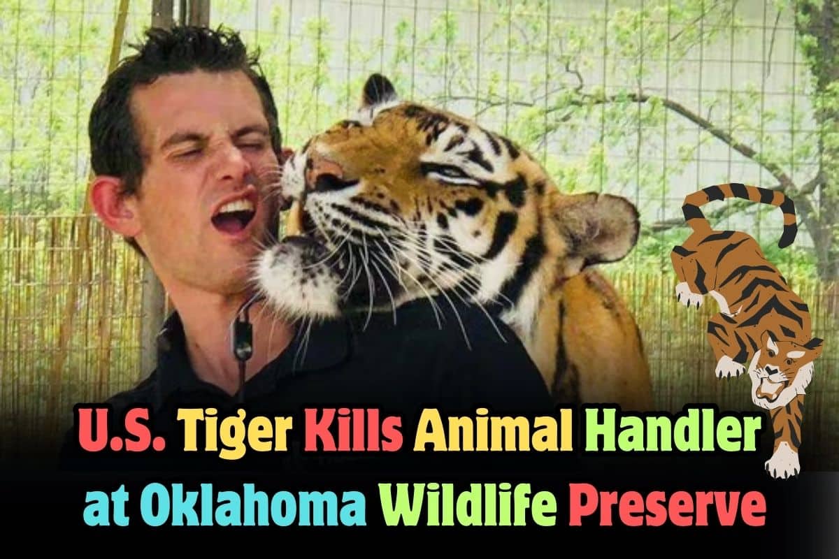 U.S. Tiger Kills Animal Handler at Oklahoma Wildlife Preserve